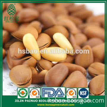 Factory Direct High Quality Roasted Open Pine Nuts in Shell
